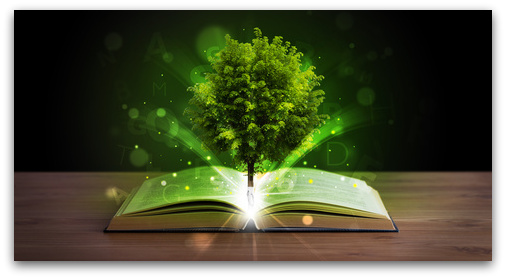 "Your Book is the Hook" by Karen Williams