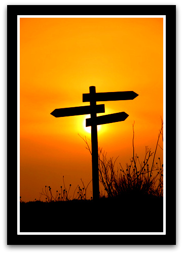 "Client-Attractive Pathways to Meet Your Coaching Clients Where They Are And Beyond" by Olivia Lobell