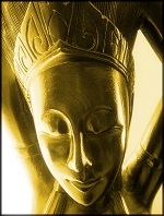 "A deeper meaning to their business which gives them a higher purpose than just making money and allows them to show up as powerful as they do each and every day."