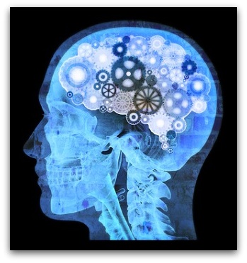 "6 Coaching Opportunities To Uplevel Your Coaching Skills Thanks To Neuroscience" By Amy Brann