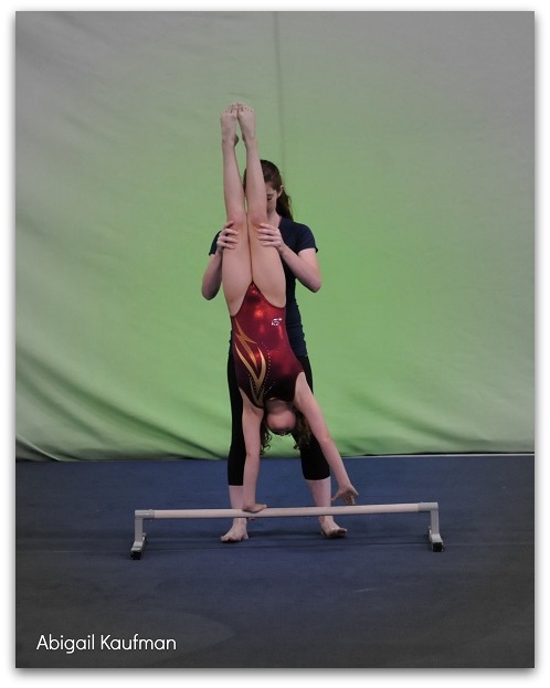 "Bringing out the best in you and your athletes:" A guest post by Zari Goldmann "Bringing out the best in you and your athletes:" A guest post by Zari Goldmann