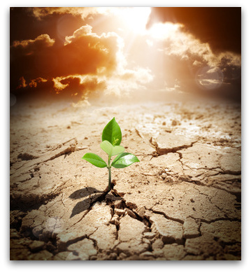 "Hope is for Everyone" by Toni Knights