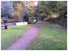 moving along your life path