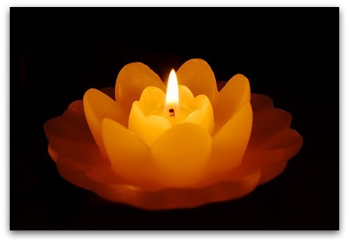 "If money was your lover how would you describe your relationship?" A guest post By Helen Collier