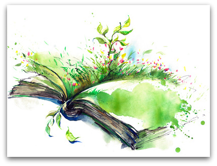 Fertility Coaching by Alison Reede