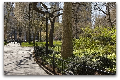 "Walking & Talking in Nature" by Anna-Marie Watson