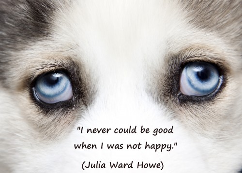 I never could e1346631562709