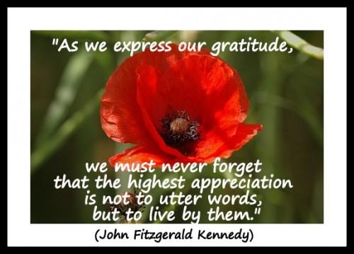 Coaching Quote of the Day 11th November 2012 "As we express our gratitude, we must never forget that the highest appreciation is not to utter words, but to live by them." (John Fitzgerald Kennedy)