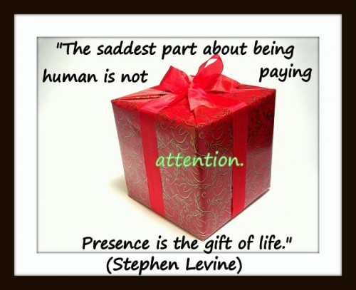 Coaching Quote of the Day from Coaching Confidence, the coaching blog "The saddest part about being human is not paying attention. Presence is the gift of life." (Stephen Levine) 
