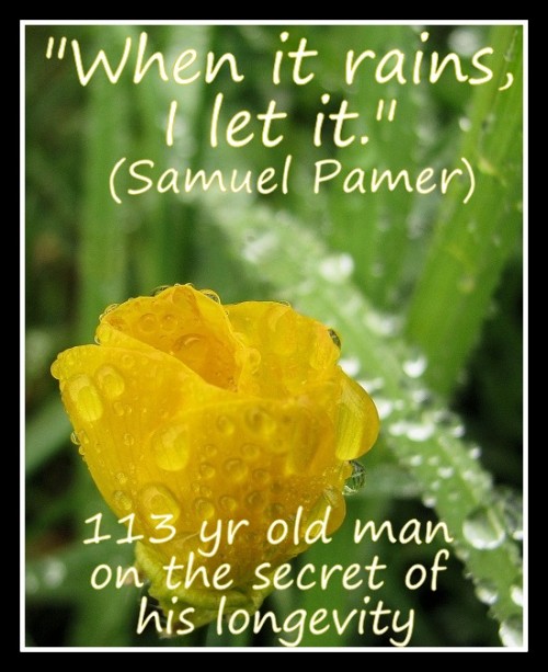 Coaching Quote of the Day from Coaching Confidence, the coaching blog, "When it rains, I let it." (Samuel Pamer, 113 yr old man on the secret of his longevity) 