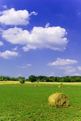 Beautiful Countryside