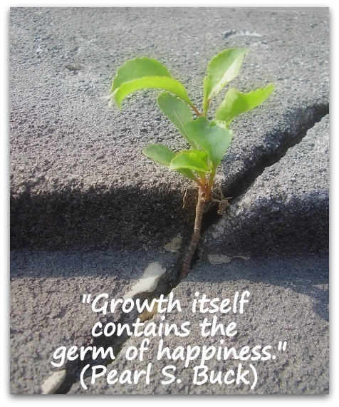 "Growth itself contains the germ of happiness." (Pearl S. Buck)
