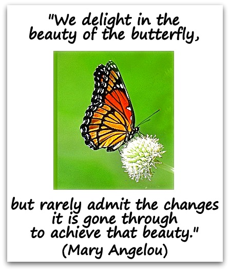 "We delight in the beauty of the butterfly, but rarely admit the changes it is gone through to achieve that beauty." (Mary Angelou)