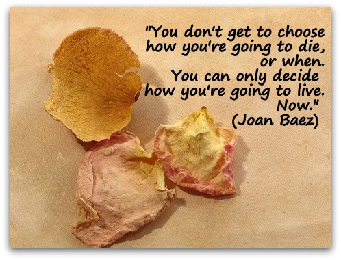 "You don't get to choose how you're going to die, or when. You can only decide how you're going to live.  Now." (Joan Baez)