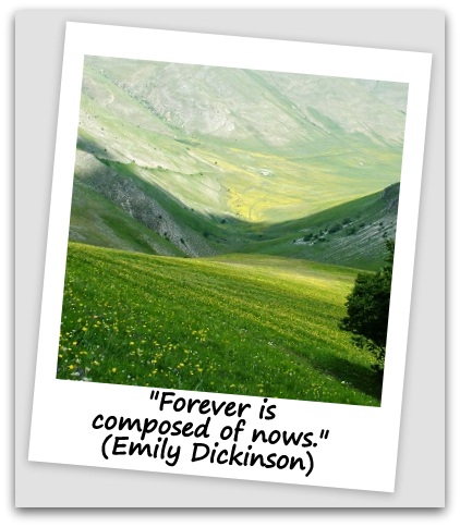 "Forever is composed of nows." (Emily Dickinson)