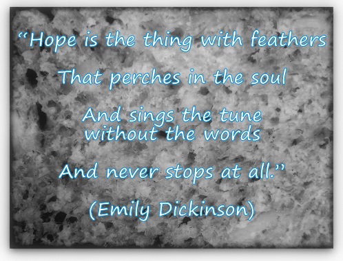 "Hope is the thing with feathers That perches in the soul And sings the tune without the words And never stops at all." (Emily Dickinson)