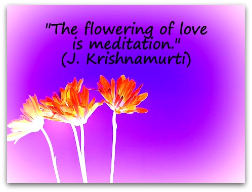 "The flowering of love is meditation." (J. Krishnamurti)