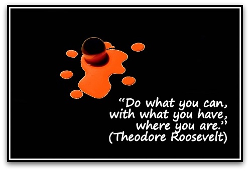 “Do what you can, with what you have, where you are.” (Theodore Roosevelt)