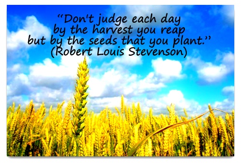 "Don't judge each day by the harvest you reap but by the seeds that you plant." (Robert Louis Stevenson)