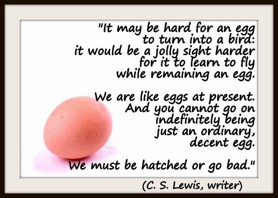 "It may be hard for an egg to turn into a bird: it would be a jolly sight harder for it to learn to fly while remaining an egg. We are like eggs at present. And you cannot go on indefinitely being just an ordinary, decent egg. We must be hatched or go bad." (C. S. Lewis, writer)