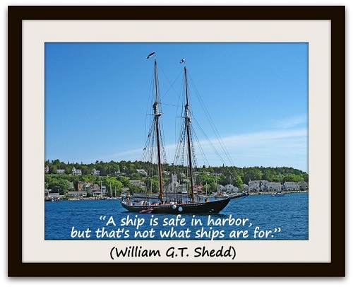 “A ship is safe in harbor, but that's not what ships are for.” (William G.T. Shedd)