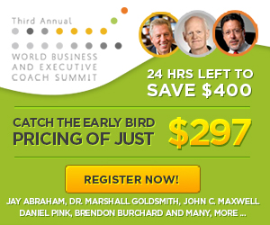 WBECS (World Business and Executive Coach Summit) 2013