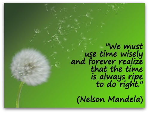 "We must use time wisely and forever realize that the time is always ripe to do right." (Nelson Mandela)
