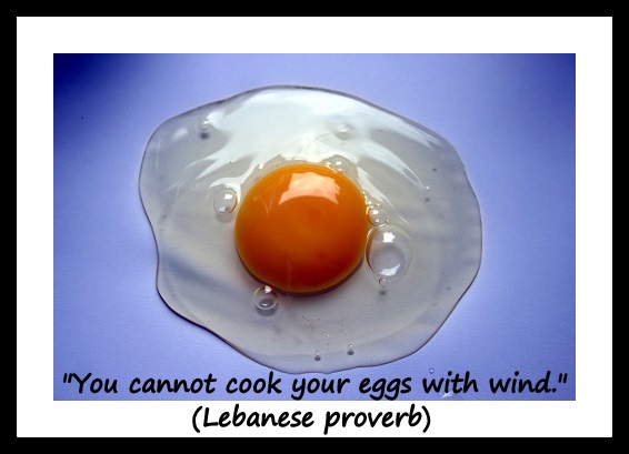 "You cannot cook your eggs with wind." (Lebanese proverb)