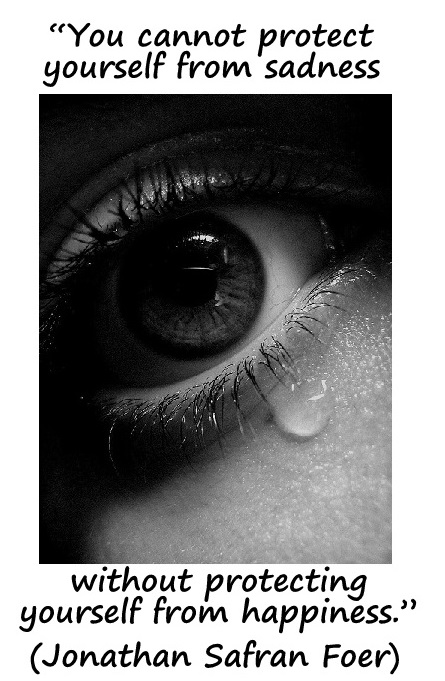“You cannot protect yourself from sadness without protecting yourself from happiness.” (Jonathan Safran Foer)