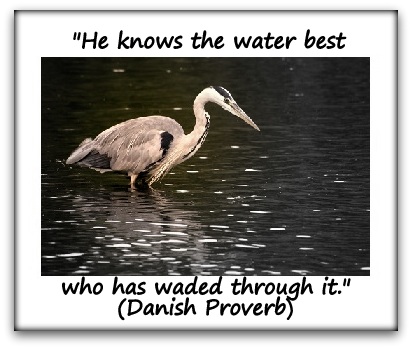 "He knows the water best who has waded through it." (Danish Proverb)