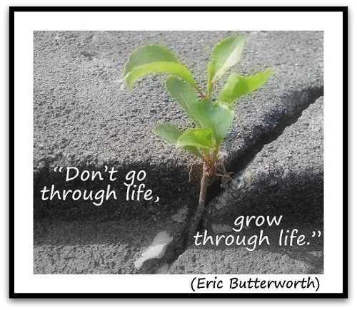 “Don’t go through life, grow through life.” (Eric Butterworth) 