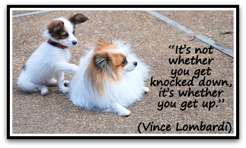 "It’s not whether you get knocked down, it’s whether you get up." (Vince Lombardi)