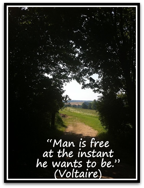 “Man is free at the instant he wants to be.” (Voltaire)