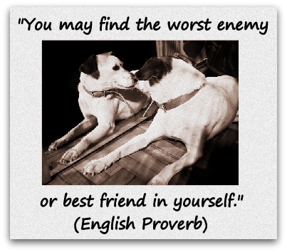 "You may find the worst enemy or best friend in yourself." (English Proverb)