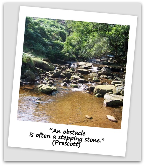 “An obstacle is often a stepping stone.” (Prescott)