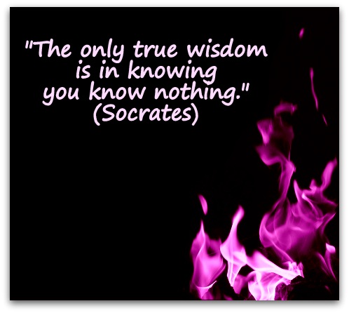 "The only true wisdom is in knowing you know nothing." (Socrates)