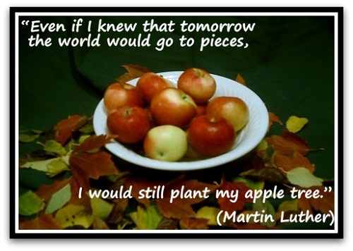 "Even if I knew that tomorrow the world would go to pieces, I would still plant my apple tree." (Martin Luther)