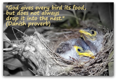 "God gives every bird its food, but does not always drop it into the nest." (Danish proverb)