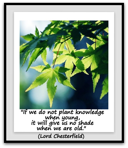 "If we do not plant knowledge when young, it will give us no shade when we are old." (Lord Chesterfield) 