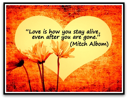 "Love is how you stay alive, even after you are gone." (Mitch Albom)