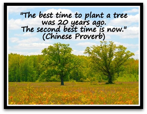 tree Archives > Coaching Confidence