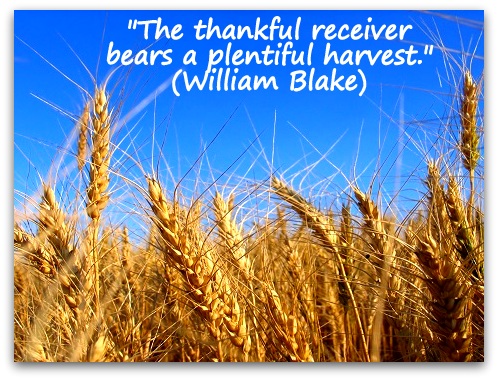 "The thankful receiver bears a plentiful harvest." (William Blake)