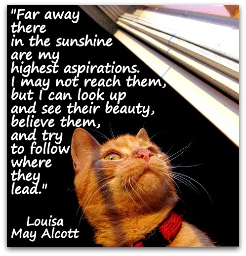 "Far away there in the sunshine are my highest aspirations. I may not reach them, but I can look up and see their beauty, believe them, and try to follow where they lead." (Louisa May Alcott)