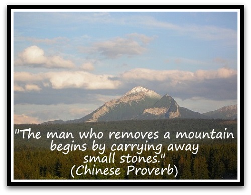 "The man who removes a mountain begins by carrying away small stones." (Chinese Proverb)