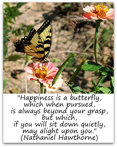 "Happiness is a butterfly, which when pursued, is always beyond your grasp, but which, if you will sit down quietly, may alight upon you." (Nathaniel Hawthorne)