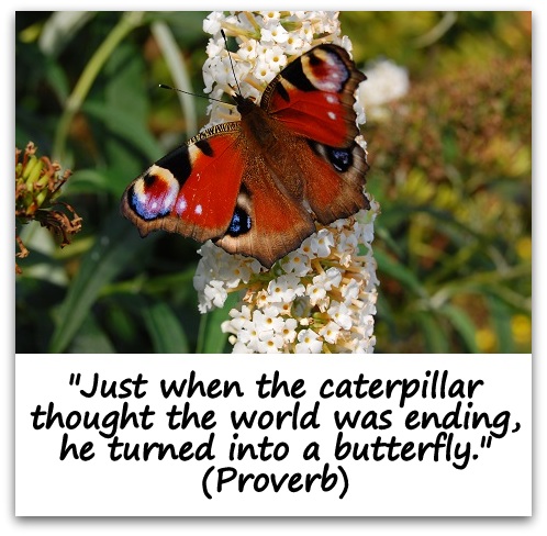 "Just when the caterpillar thought the world was ending, he turned into a butterfly." (Proverb)