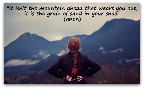 "It isn’t the mountain ahead that wears you out; it is the grain of sand in your shoe." (anon)