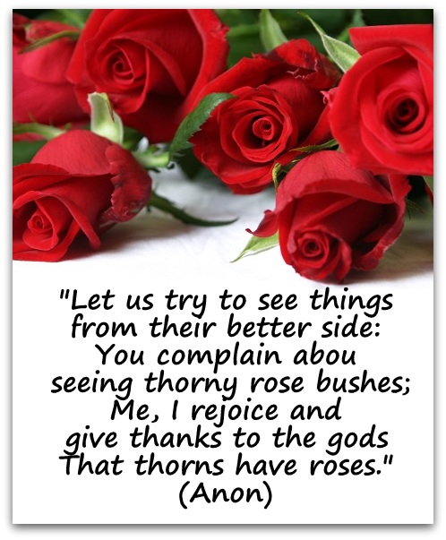 "Let us try to see things from their better side: You complain about seeing thorny rose bushes; Me, I rejoice and give thanks to the gods That thorns have roses." (Anon)