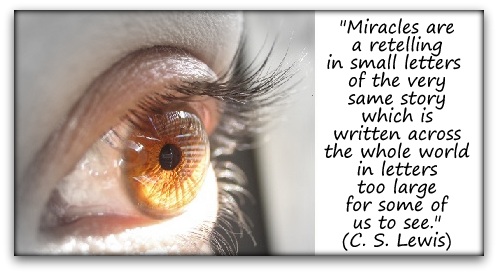 "Miracles are a retelling in small letters of the very same story which is written across the whole world in letters too large for some of us to see." (C. S. Lewis)