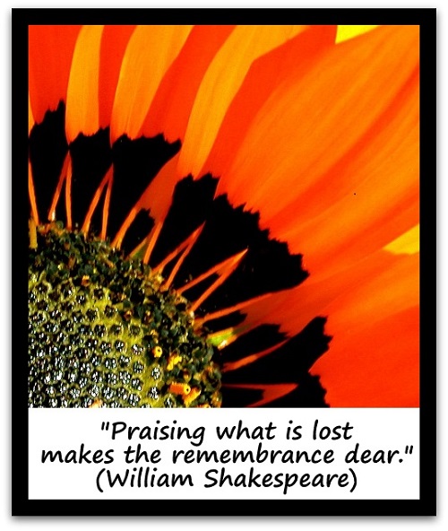 "Praising what is lost makes the remembrance dear." (William Shakespeare)